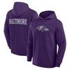 Men's Baltimore Ravens Purple Elements Hoodie