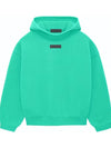 Mint Leaf Essentials Hoodie